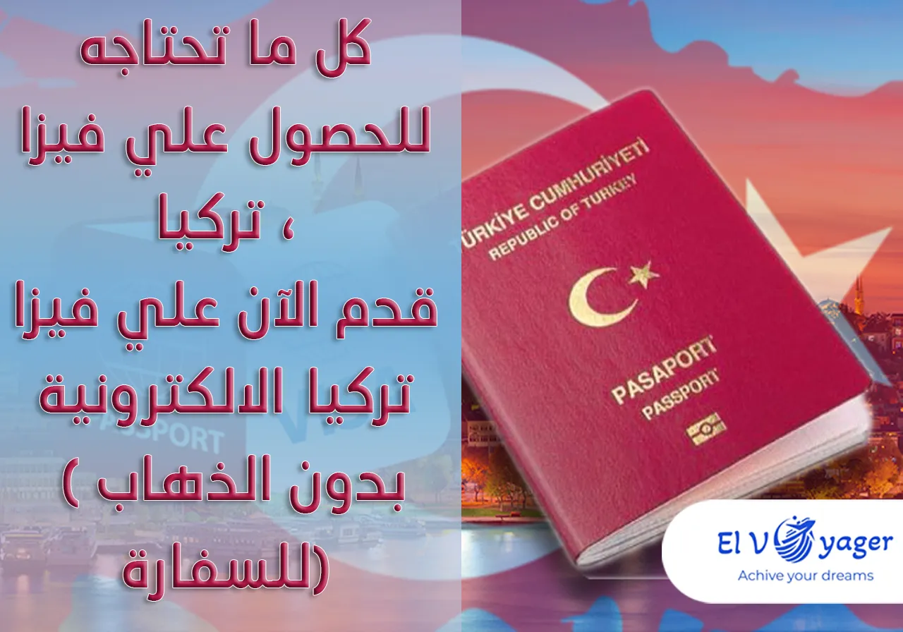 Tur visa ar