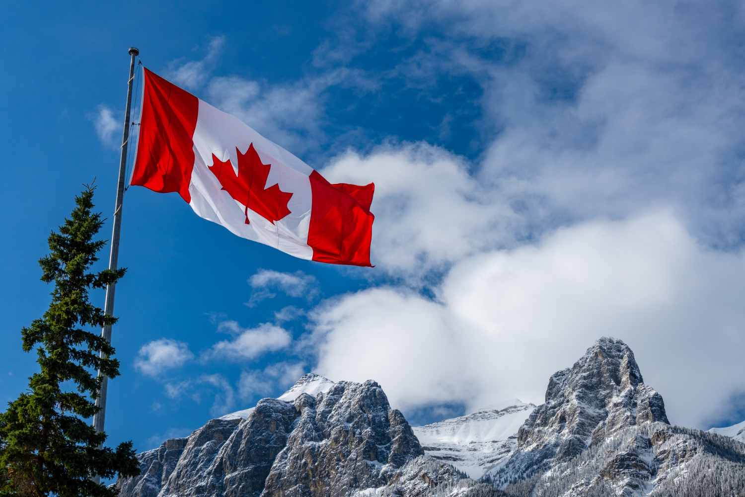 Guaranteed acceptance | Diploma in all disciplines in Canada including visa