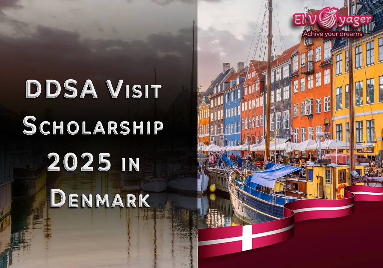 ddsa en