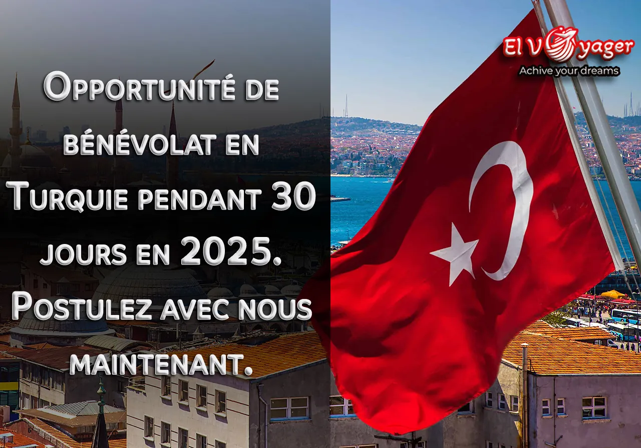 turk vol fr