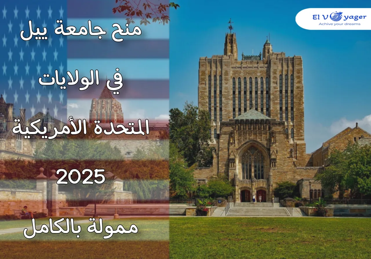 yale ar