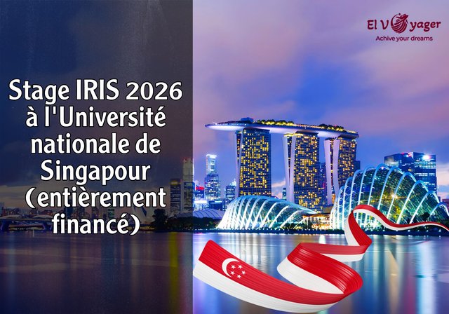 Stage IRIS 2026 à l'Université nationale de Singapour (entièrement financé) - Salaire mensuel de 1200 dollars singapouriens + indemnité de voyage de 600 dollars singapouriens