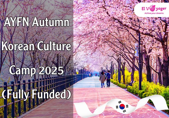 AYFN Autumn Korean Culture Camp 2025 (Fully Funded) - Presented by our team of specialists