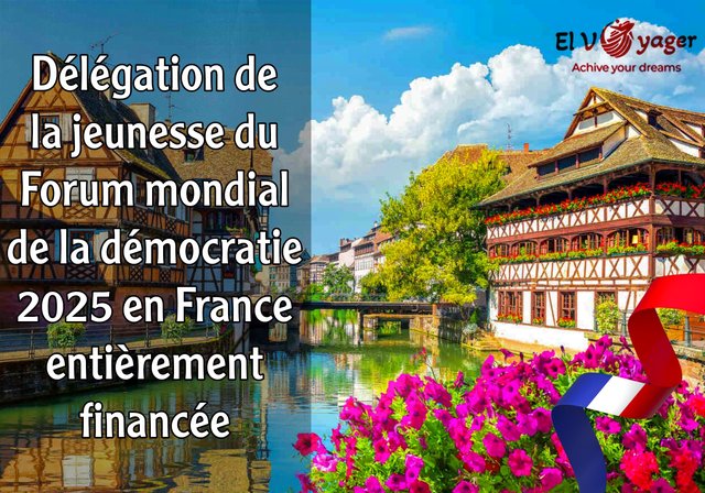 Délégation de la jeunesse du Forum mondial de la démocratie 2025 en France (entièrement financée) - La France vous appelle, postulez dès maintenant!