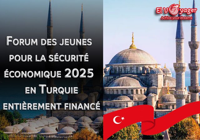 Forum sur la sécurité économique des jeunes 2025 en Turquie (entièrement financé) - Postulez maintenant via le site officiel